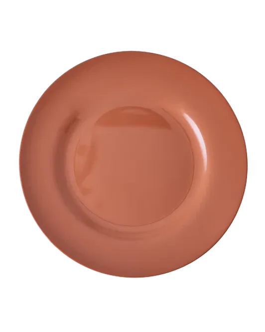 Hovedbilde Middags tallerken orange